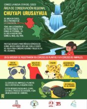 Conoce la nueva joya del Cusco: área de conservación regional Chuyapi Urusayhua